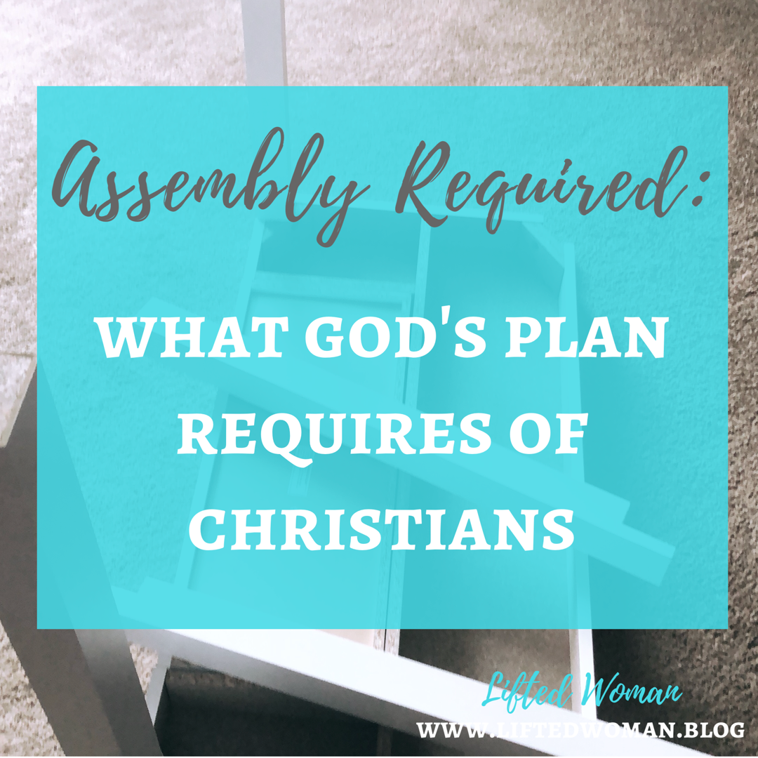 Assembly Required: What God's Plan Requires of Christians